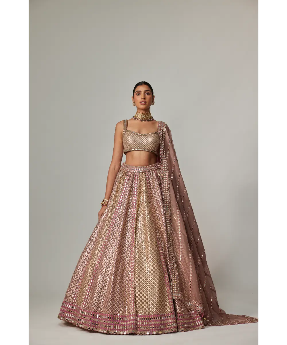 VVANI VATS - Deep beige multicolor Metallic Lehenga with Squire Neck Blouse